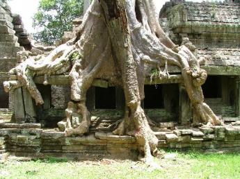 Cambodia-Angkor Wat-Dscf2621.jpg
